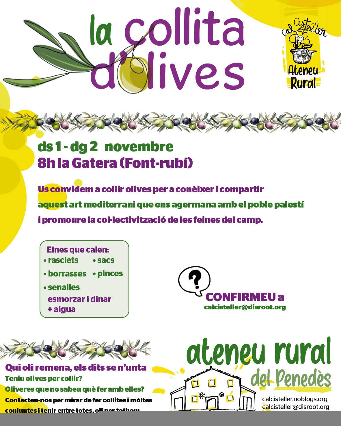 [1-2nov] Collita d’olives de l’Ateneu Rural